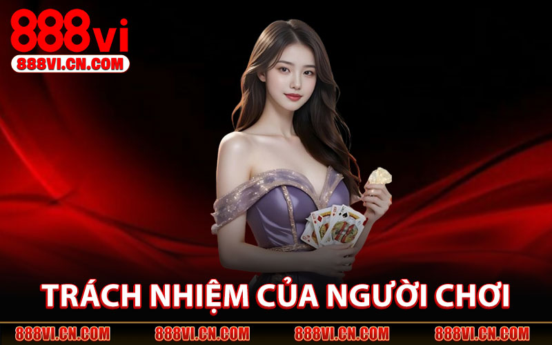 Trách Nhiệm của Người Chơi Tại Điều Khoản 888VI
